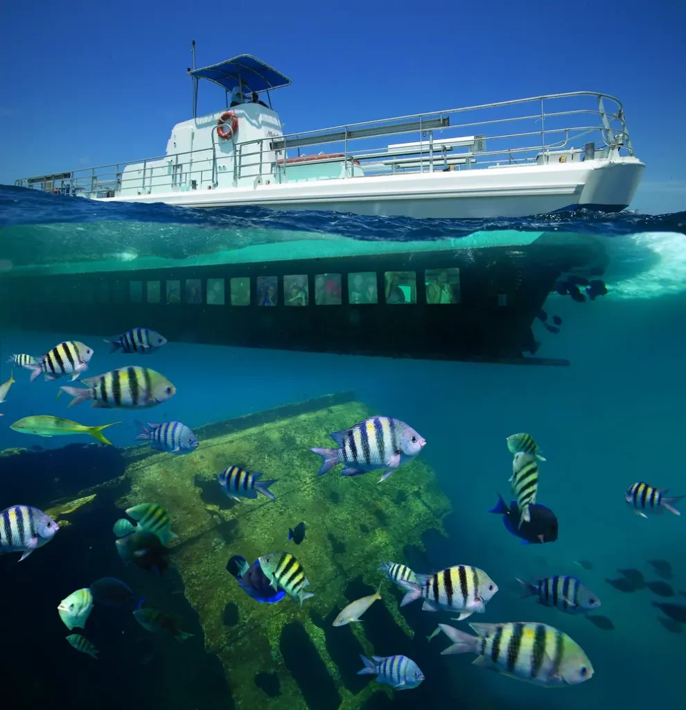 Seaworld Explorer – Glass Sided Boat