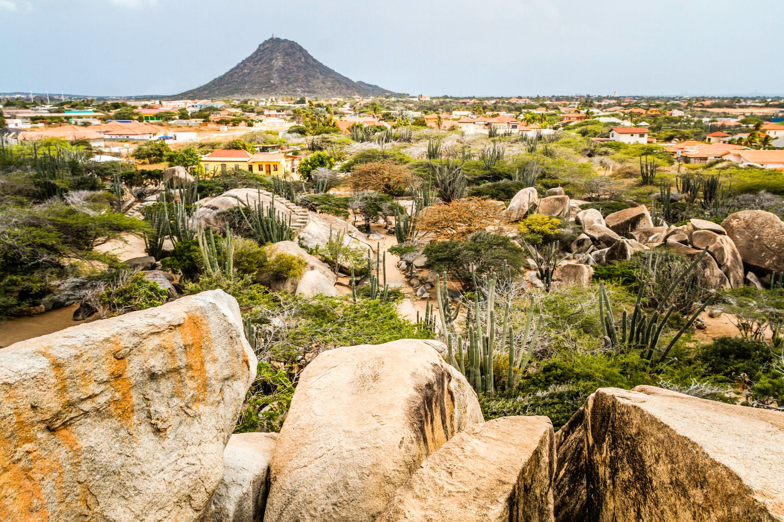 Aruba Sightseeing Tour