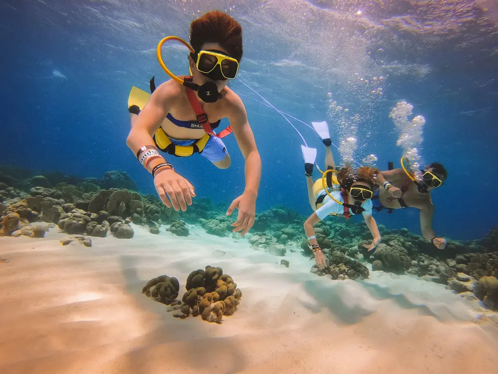 Snuba De Palm Island