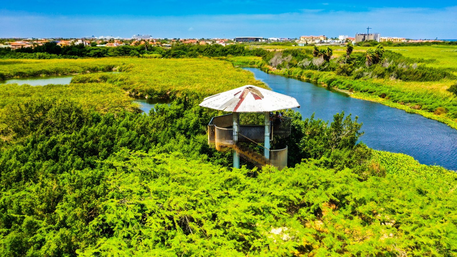 Best of Aruba by Bus