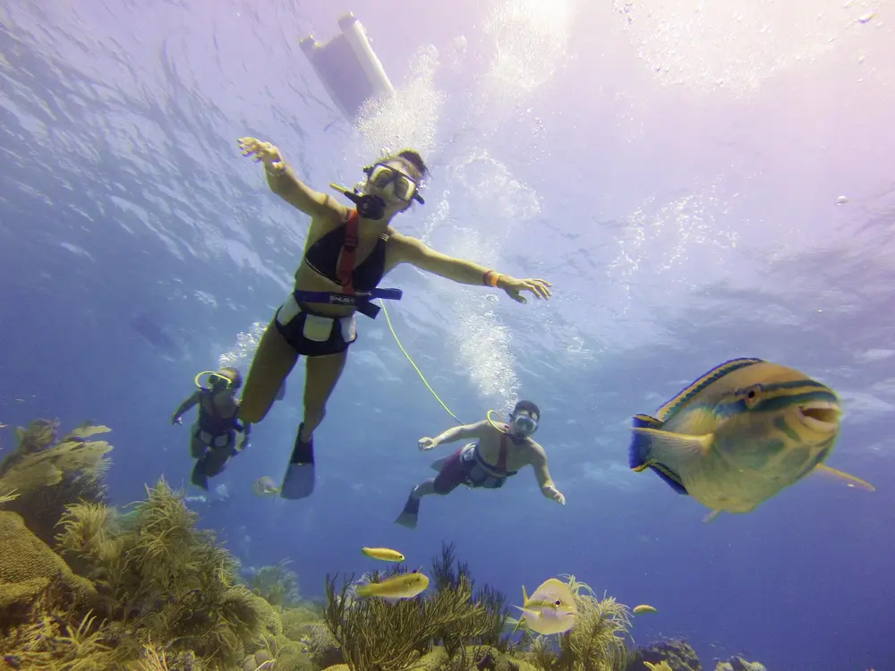 Snuba De Palm Island