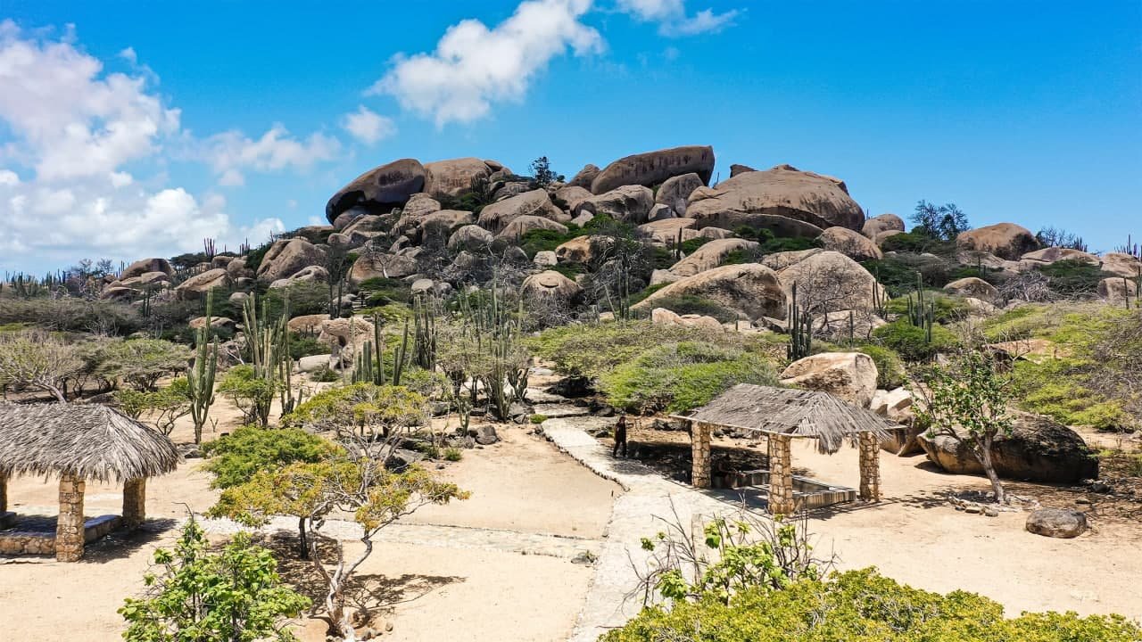 Best of Aruba by Bus