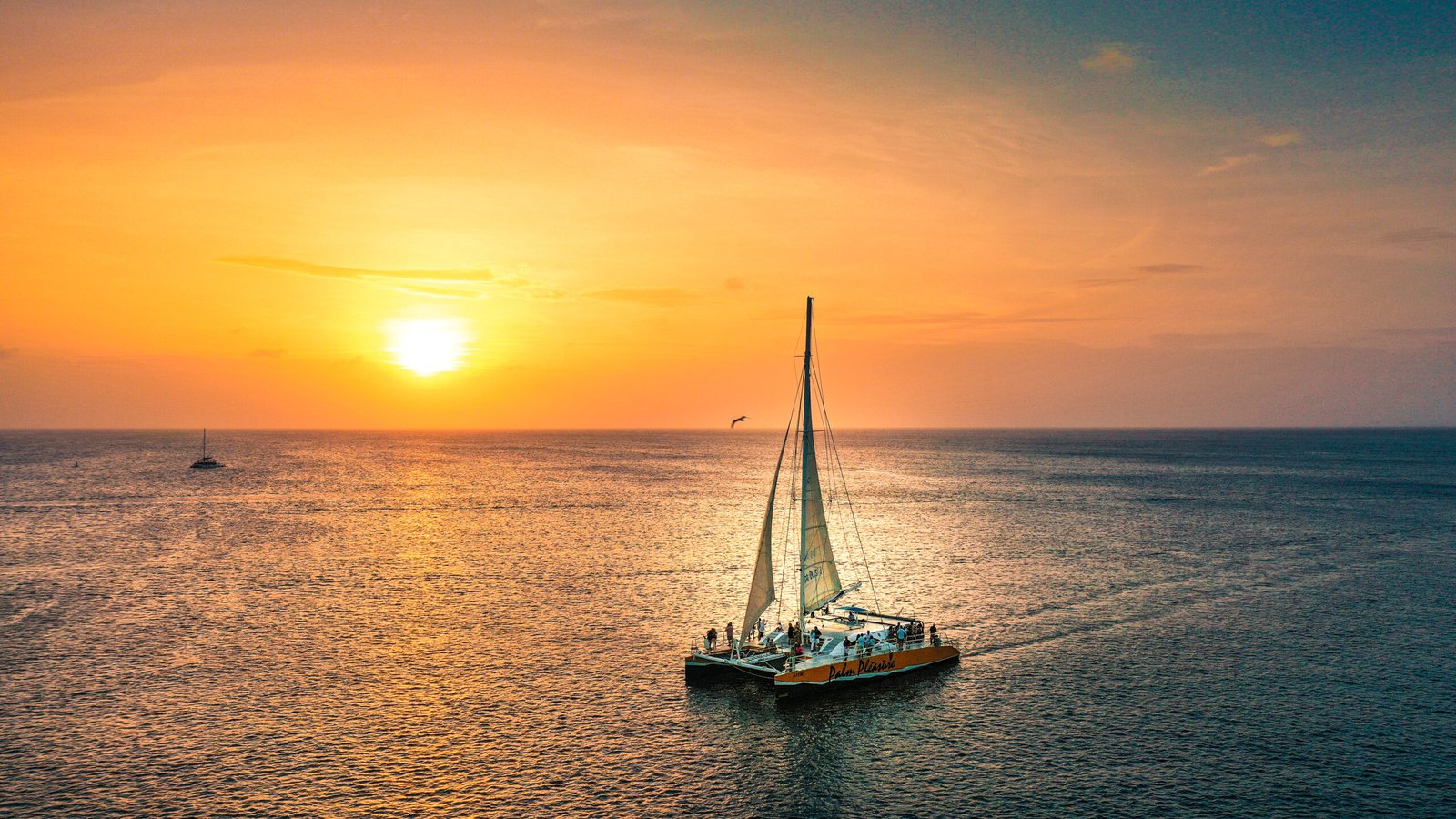 Palm Pleasure Sunset Sail