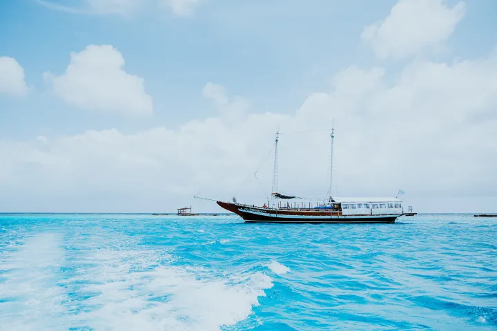 Luxury Lagoon Cruise
