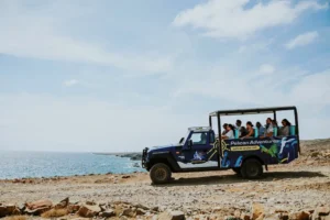 Baby Beach & Mangel Halto Off-Road Safari