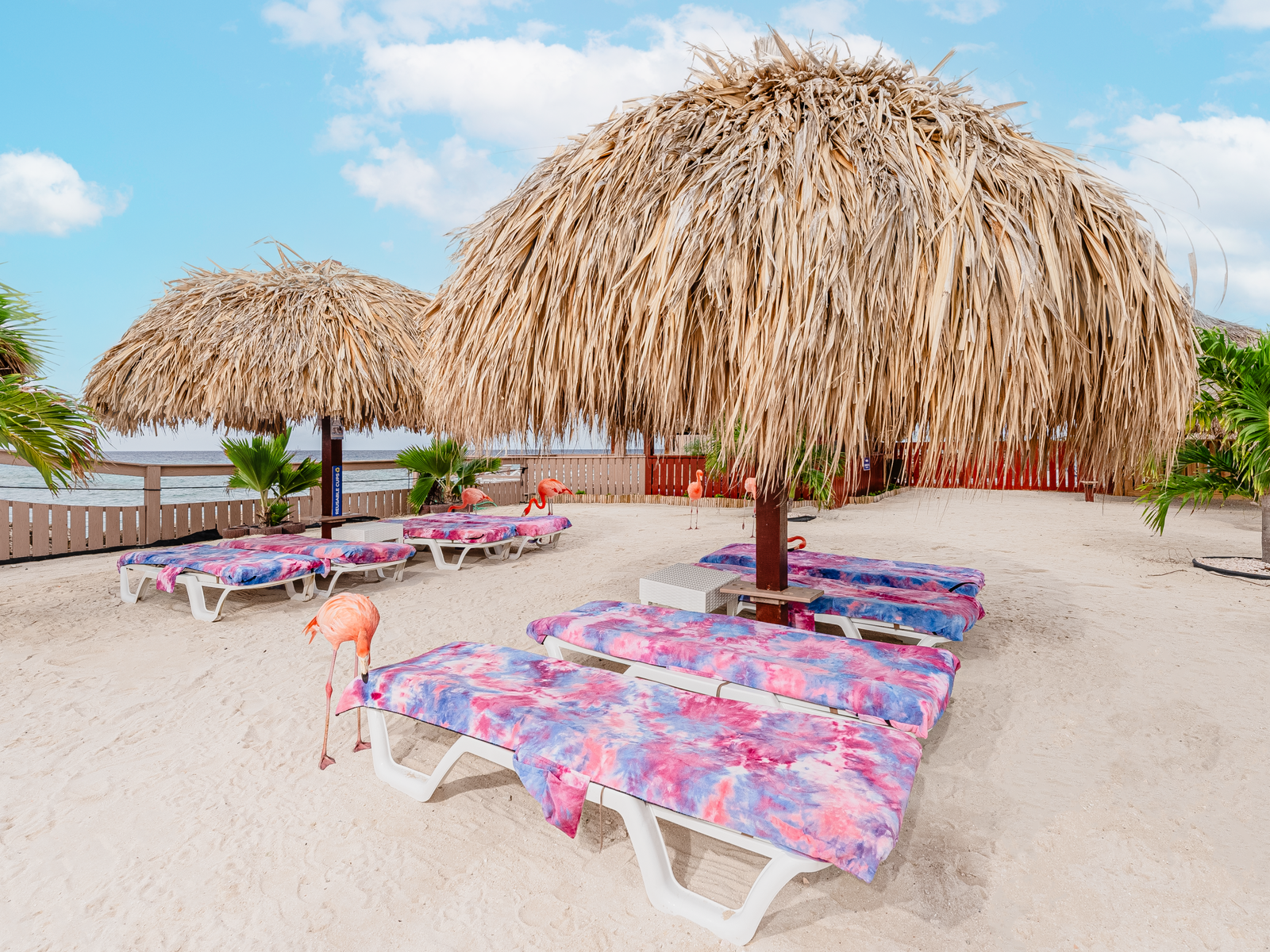 De Palm Island Including Bus Transportation