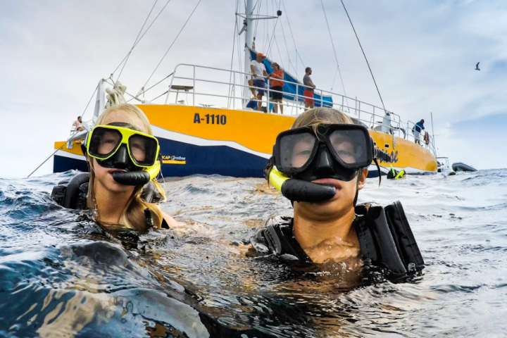 Palm Pleasure Catamaran – Snorkel Adventure