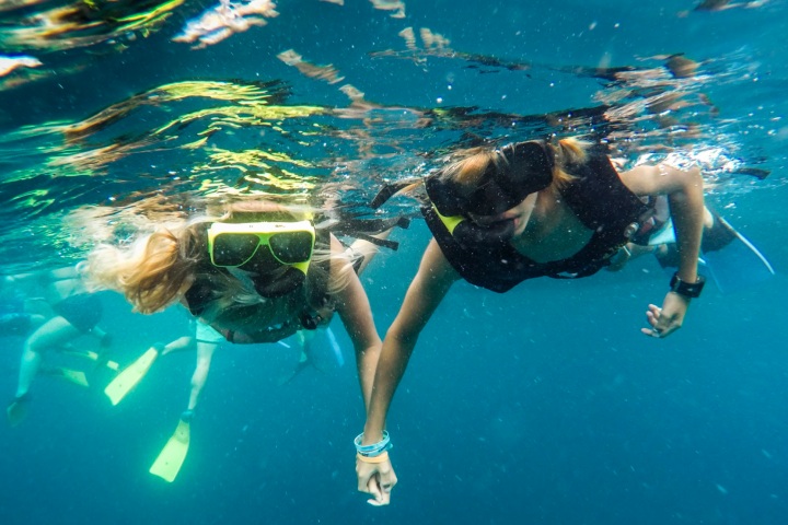 Palm Pleasure Catamaran – Snorkel Adventure