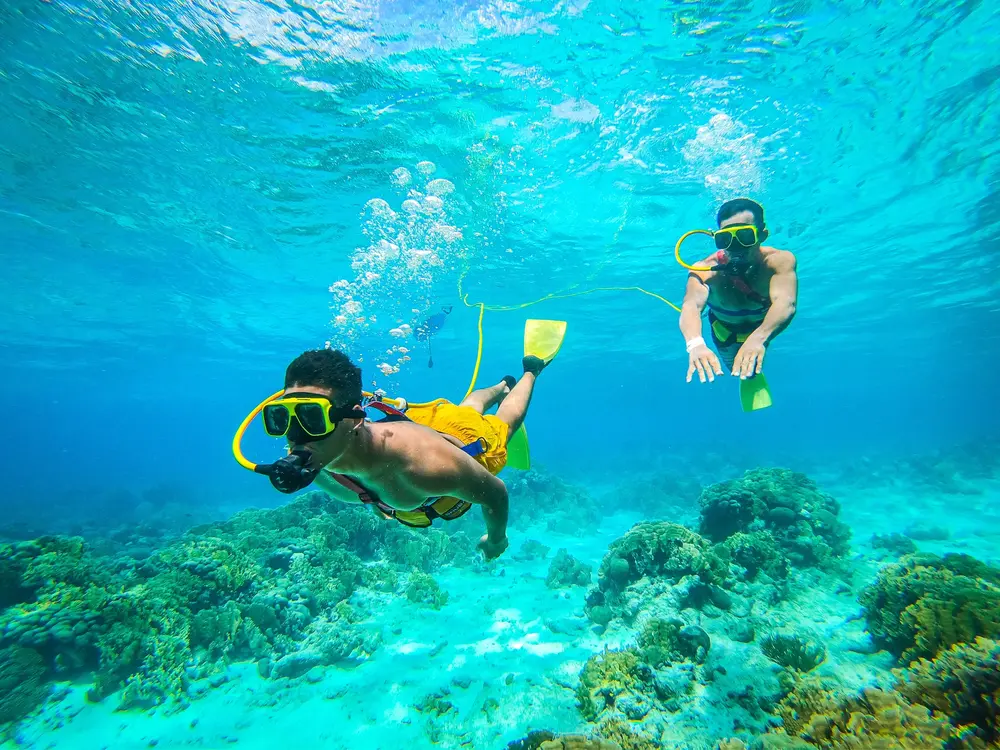 Explore the Sea