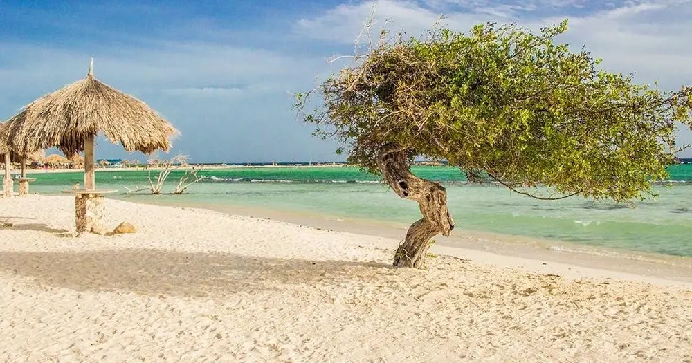 Colors, Culture, and Baby Beach