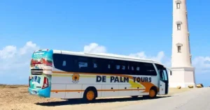 Best of Aruba by Bus