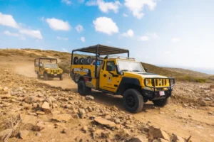Natural Pool Off-Road Safari