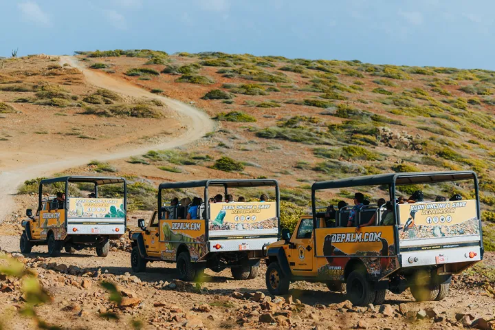 Baby Beach, Caves, and Natural Pool Off Road Safari